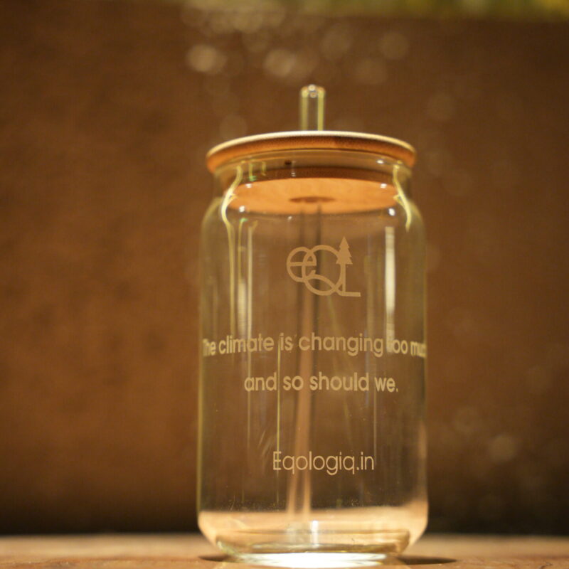 Glass Tumbler + straw and Bamboo lid