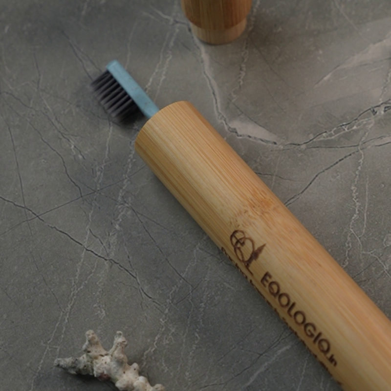 Toothbrush & Travel Case