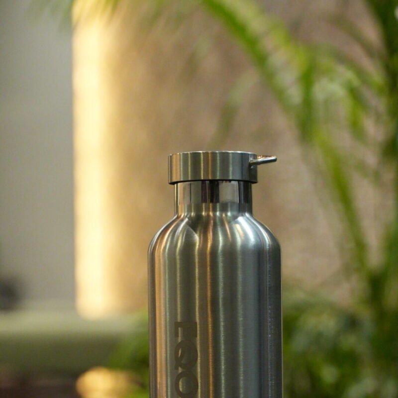 Plastic Free Screw Cap Bottle| Double Wall | 750ml